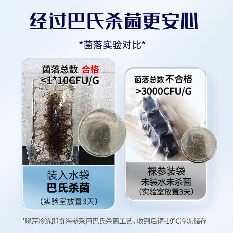 晓芹 大连即食海参 1500g 35-50只 辽刺参 海鲜水产 光明服务菜管家商品