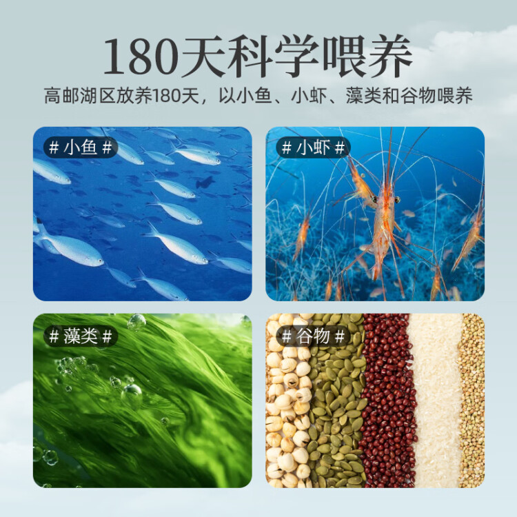 神邮 高邮烤咸鸭蛋 熟10枚*65g礼盒 即食流油咸蛋黄 光明服务菜管家商品