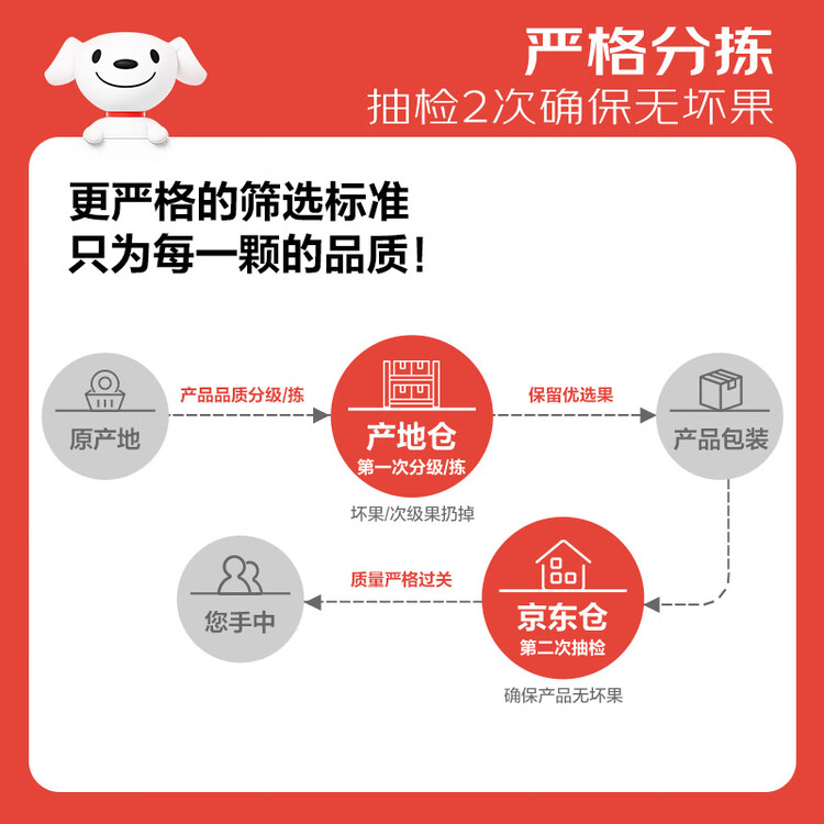 京鲜生 广西紫皮百香果 3斤装 约18-21粒 单果约70g 酸甜风味 新鲜水果 菜管家商品