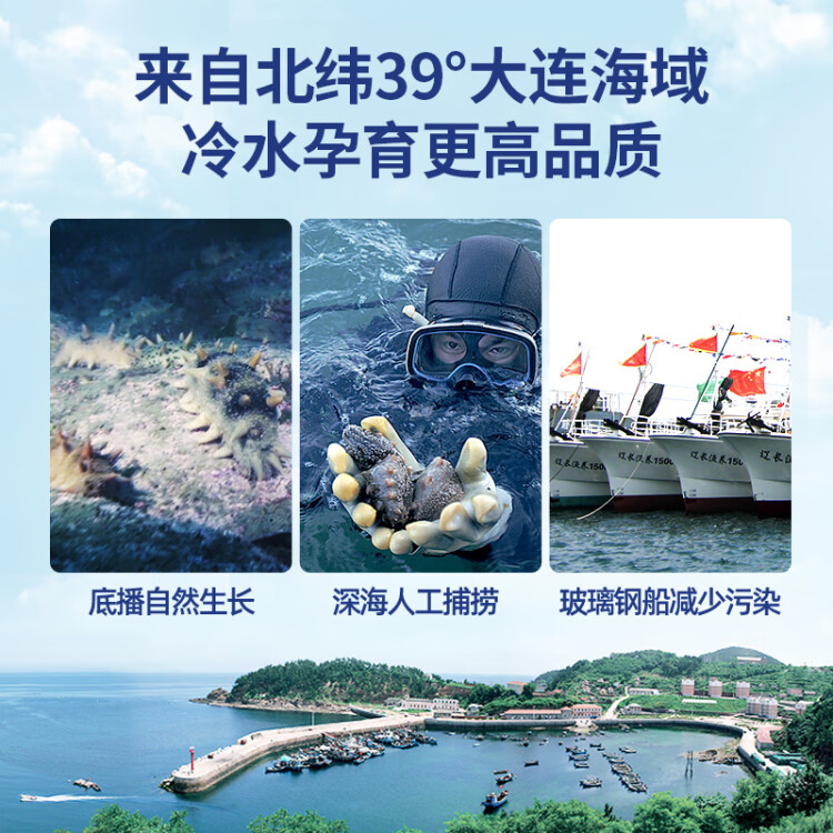 獐子岛 大连淡干海参100g 30-40头 底播辽刺参 海鲜水产干货送礼礼盒 菜管家商品