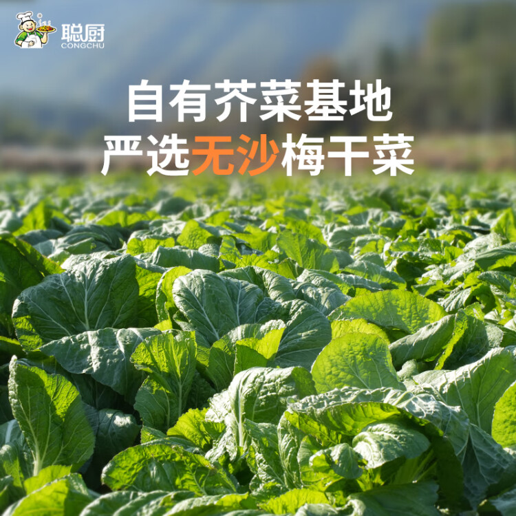 聰廚 梅菜扣肉 380g五花肉半成品下飯菜預(yù)制菜冷凍加熱即食  光明服務(wù)菜管家商品