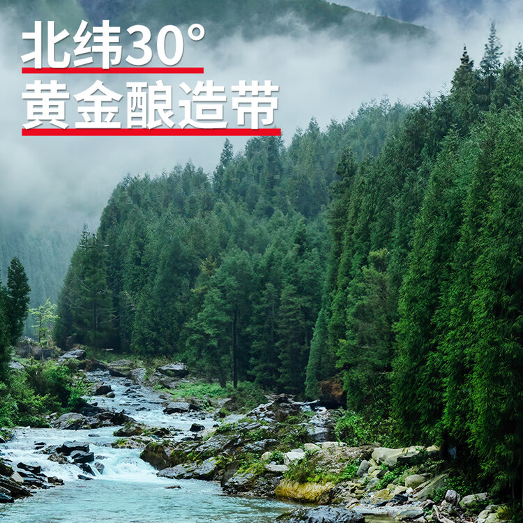 千禾白醋5度500ml【0添加】酿造食醋炒菜泡菜点蘸凉拌烹饪 菜管家商品