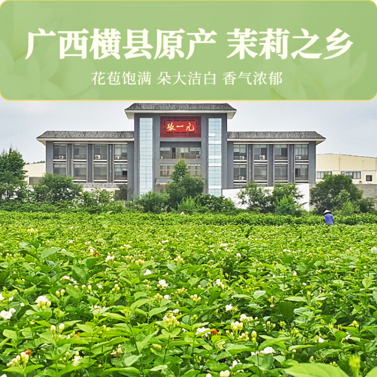 张一元茶叶茉莉花茶茉莉毛尖新茶浓香型春茶伴手礼特种200g金罐装 菜管家商品 商品图