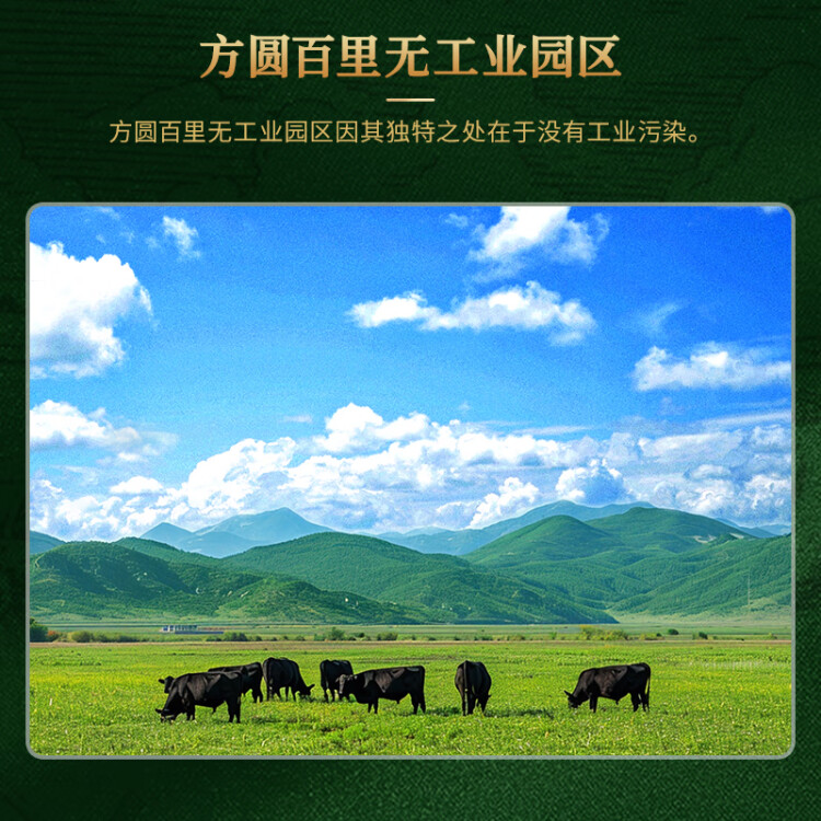 天莱香牛 有机牛腿肉500g 谷饲 原切 排酸 生鲜牛肉 国产新疆 菜管家商品