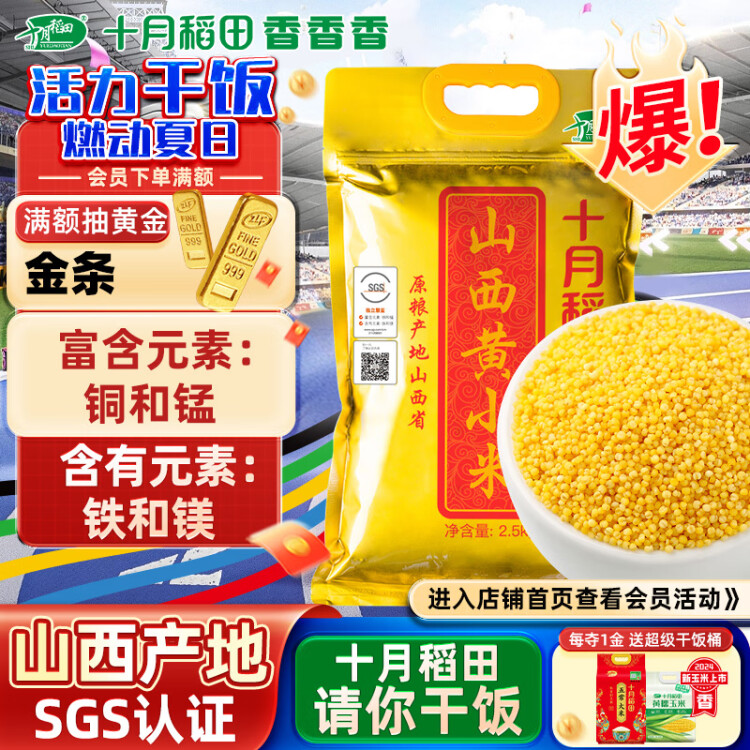 十月稻田 24年新米 山西黄小米 2.5kg 五谷杂粮 粗粮 早餐小米粥 真空5斤 菜管家商品
