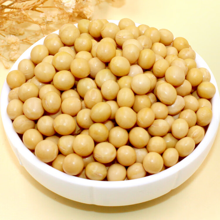 硃碌科有機黃豆3斤裝  東北大豆豆?jié){豆 圓粒黃大豆打豆?jié){非轉(zhuǎn)基因雜糧豆 光明服務(wù)菜管家商品