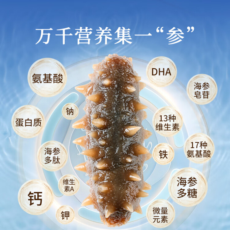 同仁堂北京同仁堂大连即食海参辽参980g14只固形物≥100%海鲜礼盒送母亲 菜管家商品