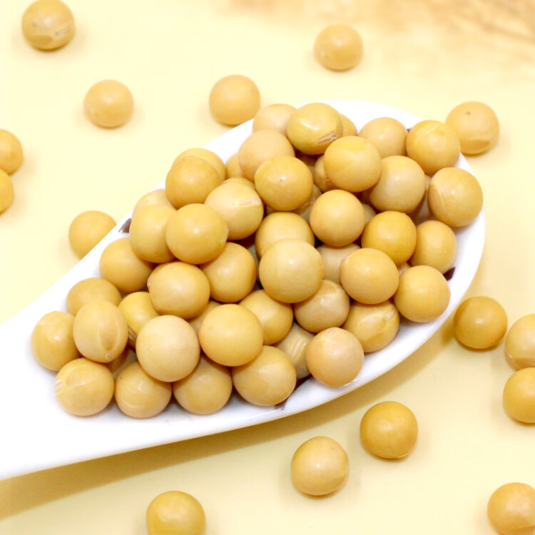 硃碌科有機黃豆3斤裝  東北大豆豆?jié){豆 圓粒黃大豆打豆?jié){非轉(zhuǎn)基因雜糧豆 光明服務(wù)菜管家商品