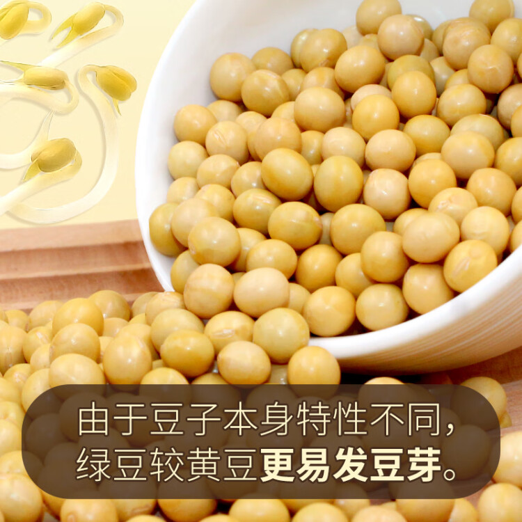 硃碌科有機黃豆3斤裝  東北大豆豆?jié){豆 圓粒黃大豆打豆?jié){非轉(zhuǎn)基因雜糧豆 光明服務(wù)菜管家商品