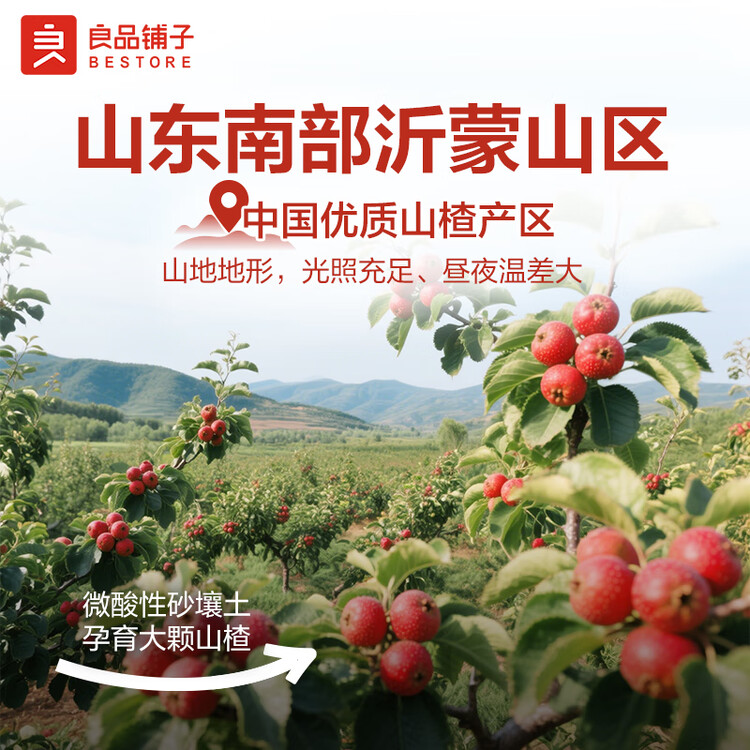 良品铺子 山楂片山楂干山楂零食小吃果脯蜜饯袋装250g 菜管家商品