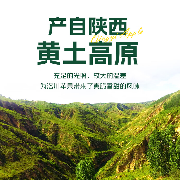 洛川苹果青怡陕西红富士4.5斤家庭装 单果178g起 新鲜水果源头直发包邮 菜管家商品
