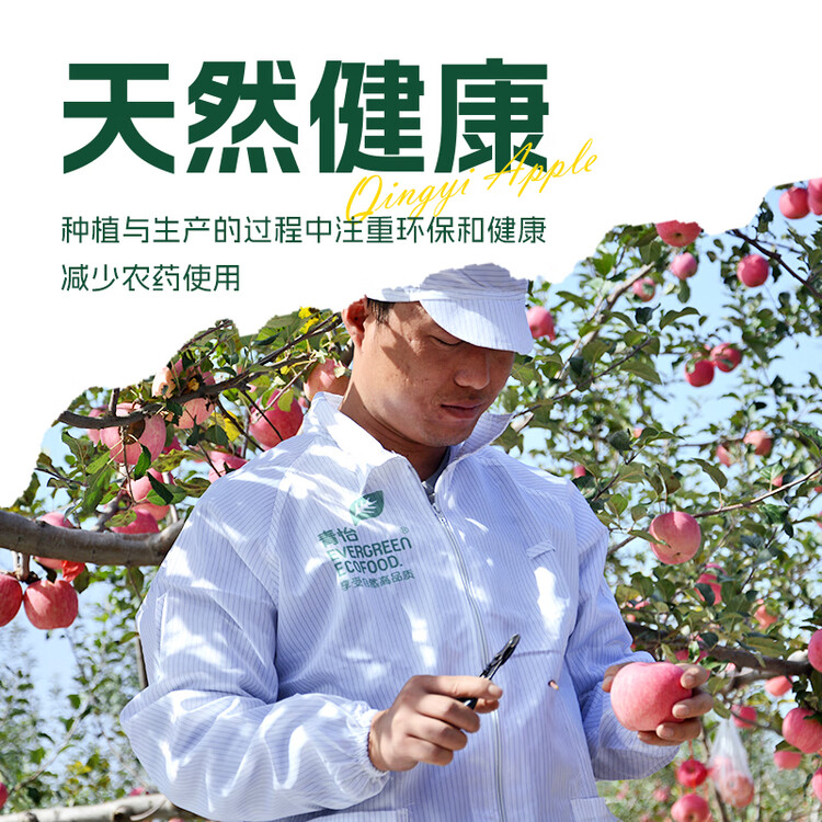 洛川苹果青怡陕西红富士4.5斤家庭装 单果178g起 新鲜水果源头直发包邮 菜管家商品