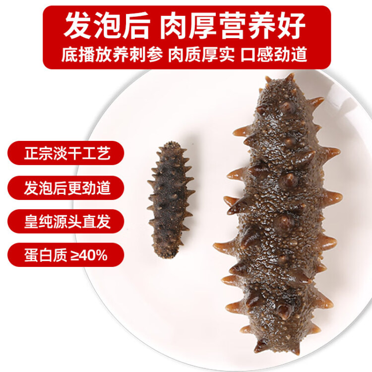 皇純【威海產(chǎn)地】?jī)?yōu)選淡干海參50g7-12只 干貨底播刺參 源頭直發(fā)包郵 菜管家商品