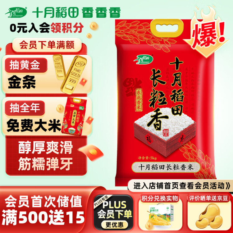 十月稻田 24年新米 长粒香大米 5kg 东北大米 香米 10斤 光明服务菜管家商品