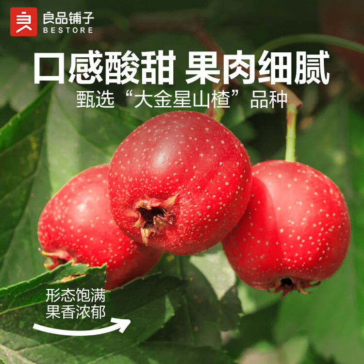 良品铺子 山楂片山楂干山楂零食小吃果脯蜜饯袋装250g 菜管家商品