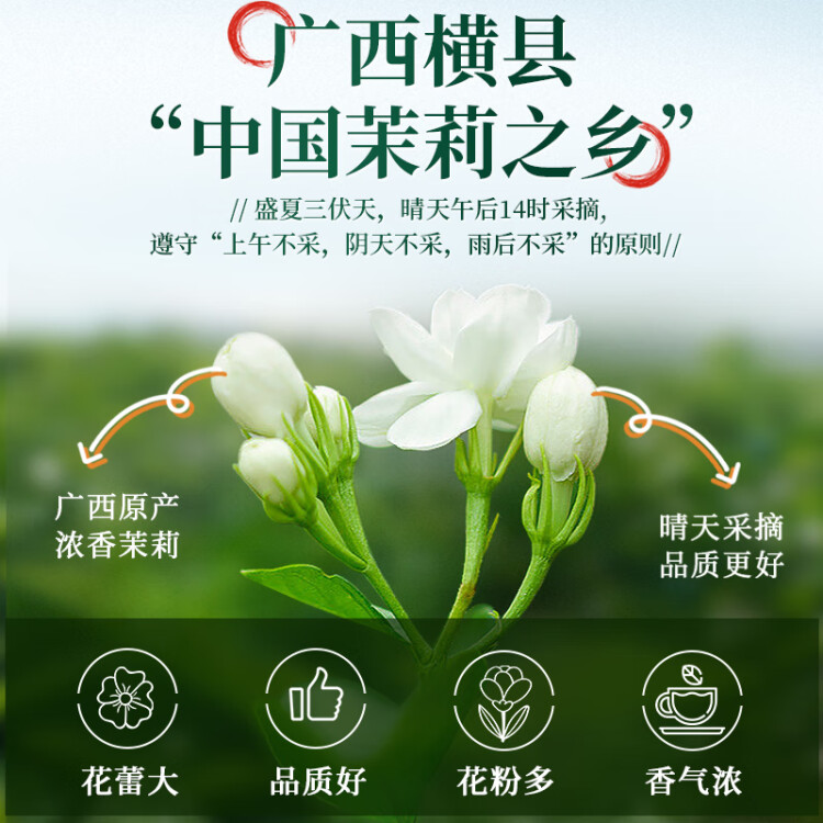 一杯香茶叶茉莉花茶横县特级500g2025新茶礼盒装茉莉绿茶花草茶自己喝 菜管家商品 商品图