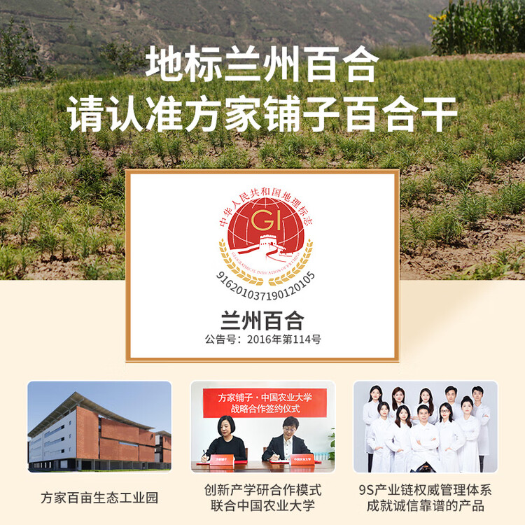 方家铺子中华老字号 正宗兰州产百合干100g 一级甜百合易煮甜羹煲汤材料 菜管家商品