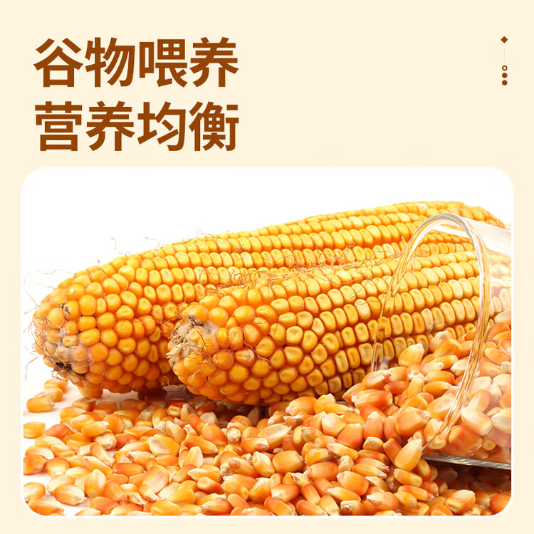 温氏供港鲜鸡蛋20枚/2斤 无抗生素 谷物喂养 原色营养 健康生鲜轻食 菜管家商品