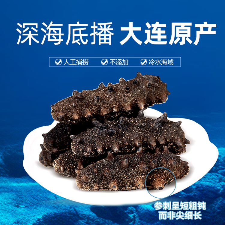 獐子岛 大连干海参100g 11-18头 底播辽刺参 海鲜水产淡干干货送礼礼盒 菜管家商品