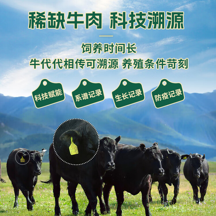 天莱香牛新疆有机原切西冷牛排180g 谷饲生鲜牛肉 清真【真原切】 菜管家商品