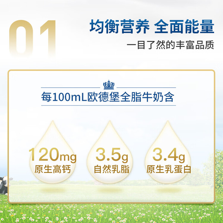 欧德堡（Oldenburger）3.4g蛋白高钙全脂纯牛奶200ml*24盒 京东自营 早餐奶 轻断食 菜管家商品