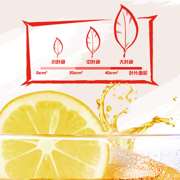 统一 冰红茶【新说唱同款】250ml*24/箱整箱装新旧包装交替发货 菜管家商品