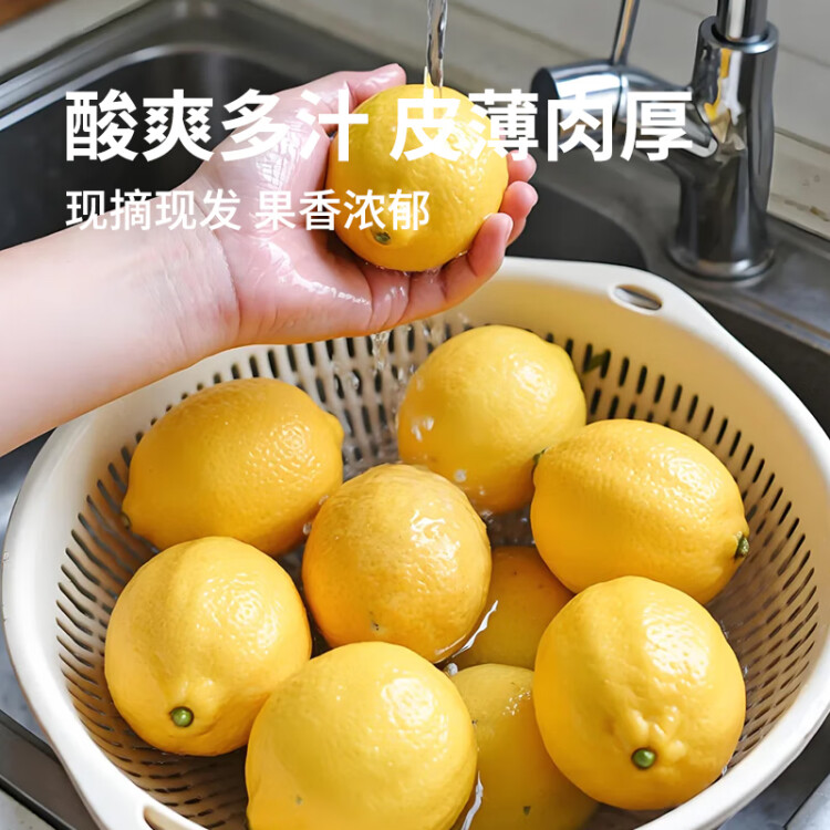 京鮮生 安岳黃檸檬 8粒 單果95-120g 生鮮水果 菜管家商品