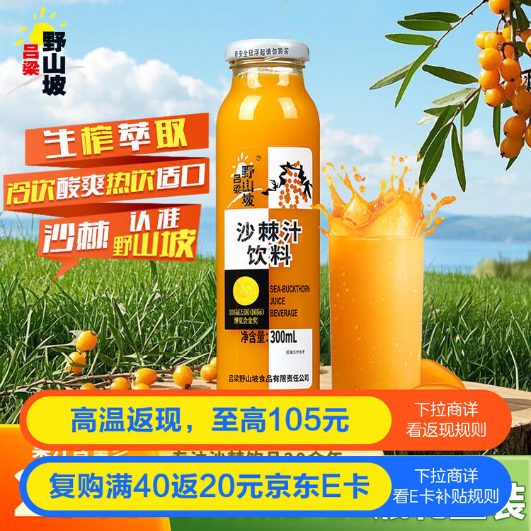 吕梁野山坡沙棘汁 果汁饮料300ml*12瓶 年货礼盒整箱装热门商品 菜管家商品