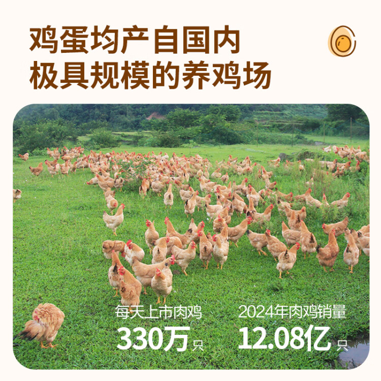 溫潤食品鮮雞蛋 40枚/4斤谷物喂養(yǎng) 原色營養(yǎng) 健康輕食  菜管家商品