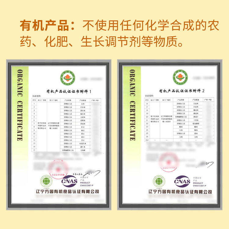 硃碌科有机黄豆3斤装  东北大豆豆浆豆 圆粒黄大豆富含蛋白非转基因年货 菜管家商品