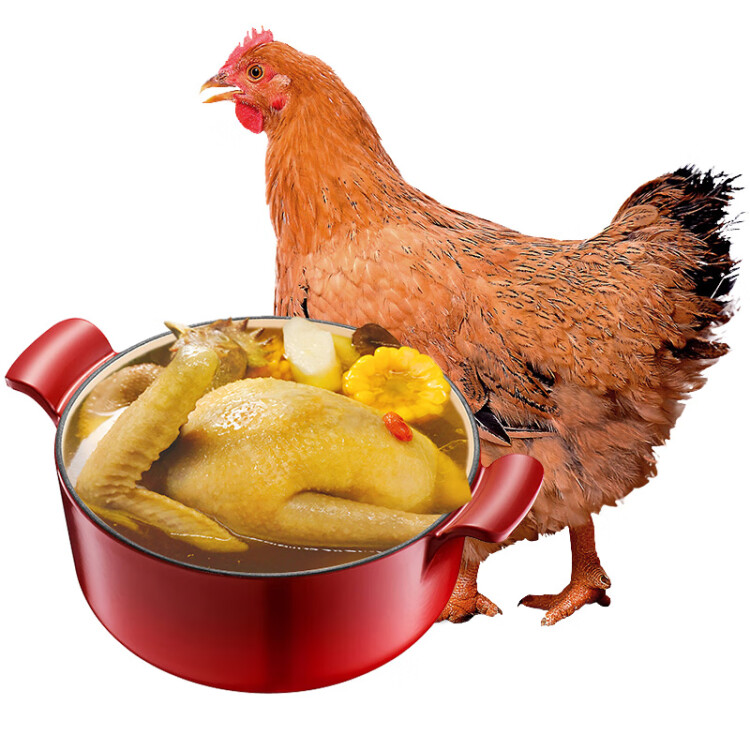 温氏 供港黄油鸡1.2kg 冷冻 农家土鸡母鸡走地鸡 慢养110天以上 光明服务菜管家商品 