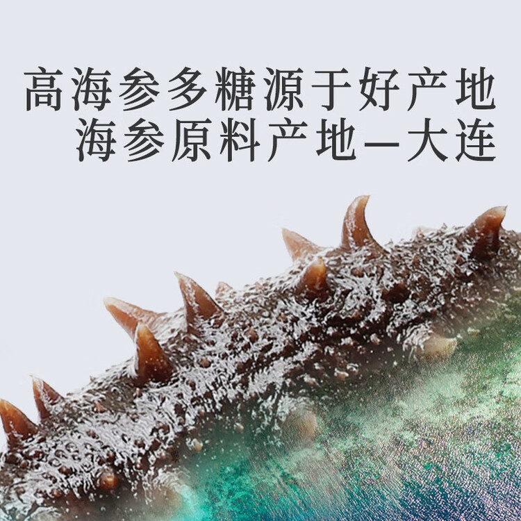 同仁堂北京同仁堂大连净制干海参辽刺参100g28-42只年货海参礼盒送长辈 菜管家商品