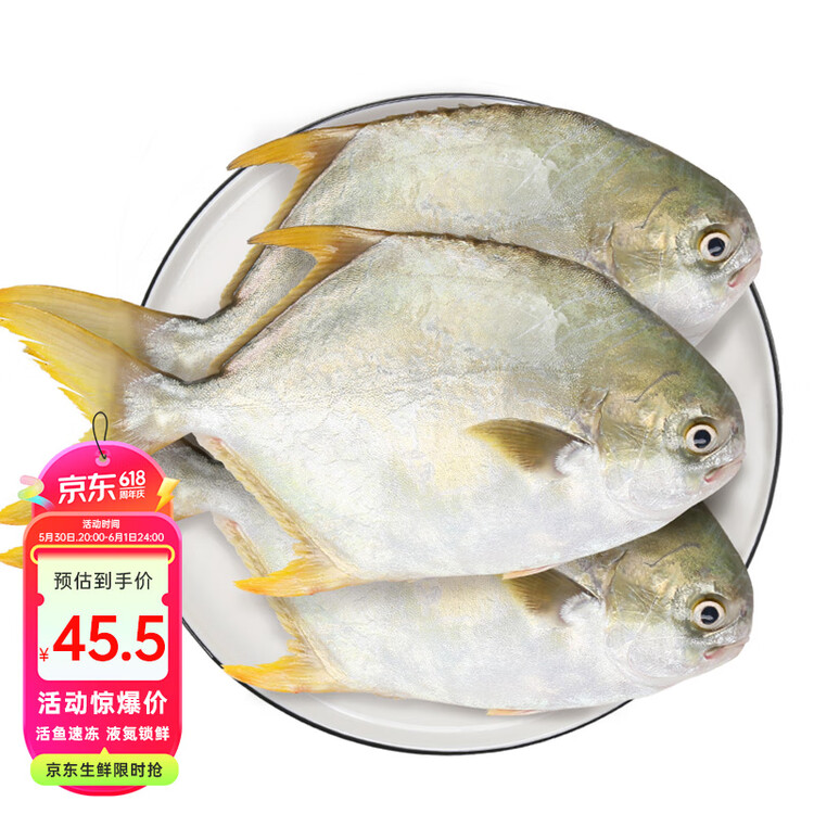 翔泰 海南深海金鲳鱼2.4斤/3-4条净重 BAP 年货节生鲜鱼类 海鲜水产  菜管家商品