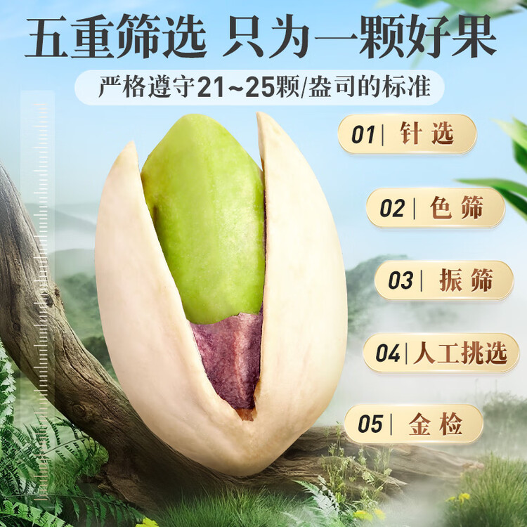 百草味盐焗味开心果500g 每日坚果炒货干果休闲零食量贩无漂白送礼团购 菜管家商品