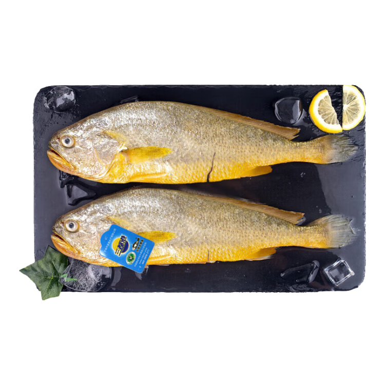 三都港 冷冻三去黄花鱼2斤/2条装 宁德大黄鱼 生鲜鱼类 海鲜 年货 菜管家商品