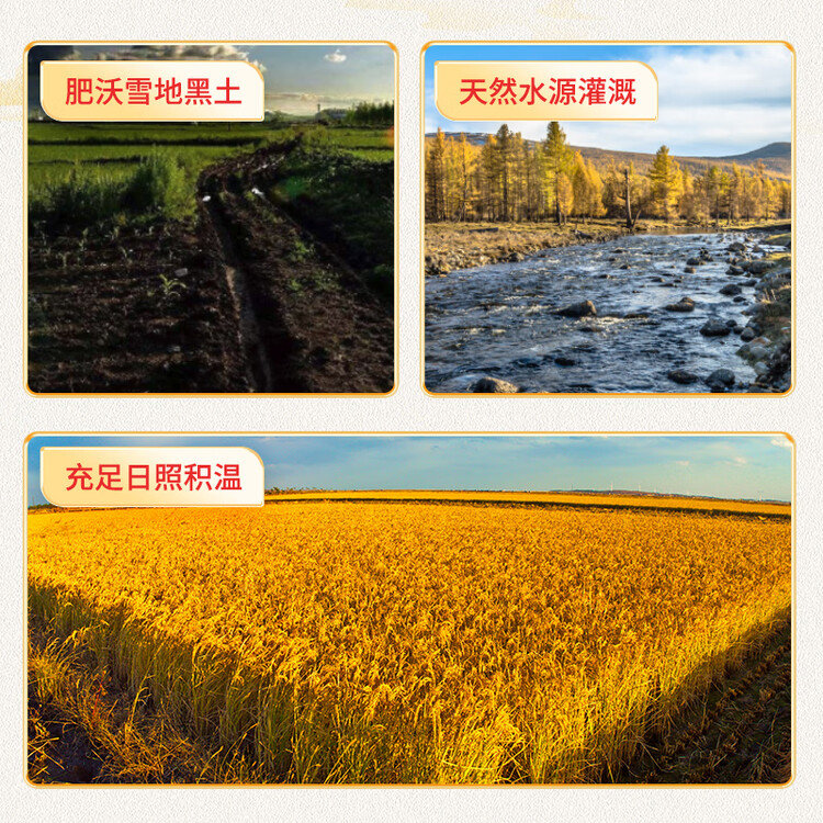 稻可道 东北珍珠米  东北大米10斤 菜管家商品