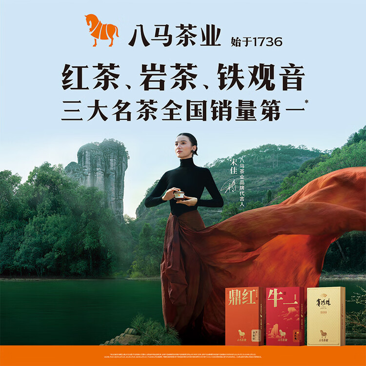 八马茶业红茶 武夷山正山小种一级 250g罐装 菜管家商品
