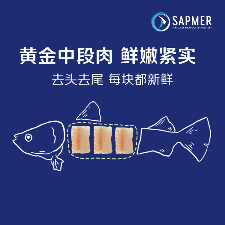 SAPMER 冷冻法国银鳕鱼净重100g（细鳞南极犬牙鱼）鳕鱼儿童  盒装尝鲜 菜管家商品
