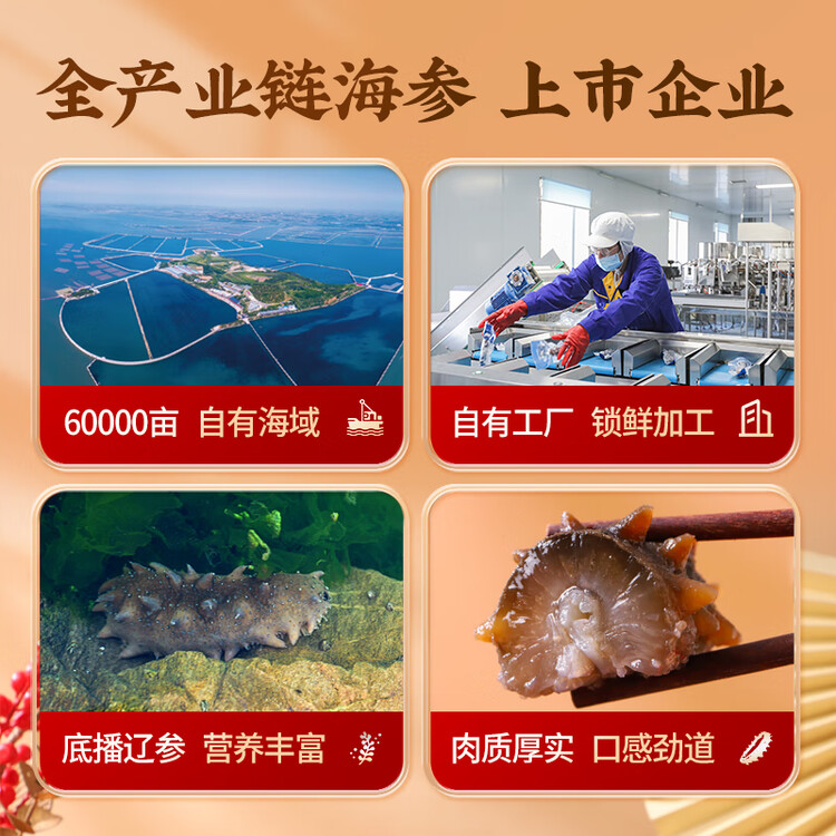 喜玉大连即食海参京东自营 1斤 10-15只 固形物80%以上 简装 辽刺参  菜管家商品