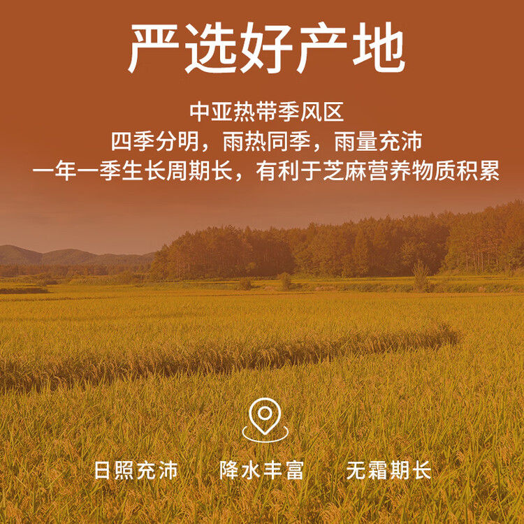 十月稻田 熟黑芝麻 500g 开罐即食 芝麻糊原料 五谷杂粮 无添加芝麻粒 菜管家商品
