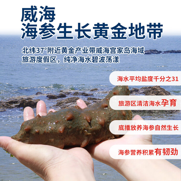 皇纯【威海产地】优选淡干海参50g7-12只 干货底播刺参 源头直发包邮 菜管家商品