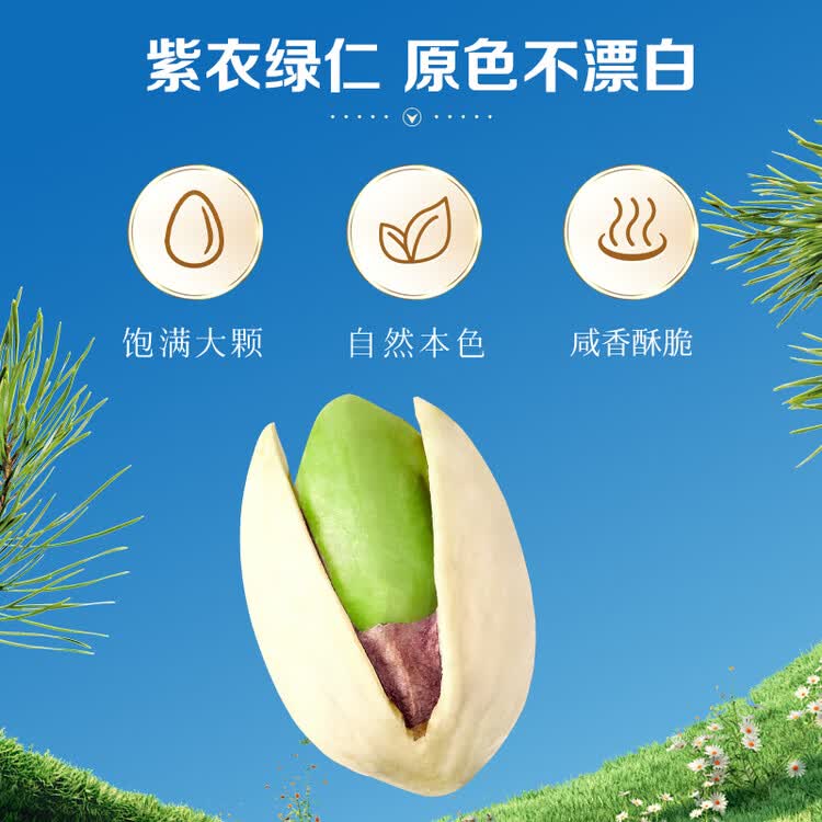 百草味盐焗味开心果500g 每日坚果炒货干果休闲零食量贩无漂白送礼团购 菜管家商品
