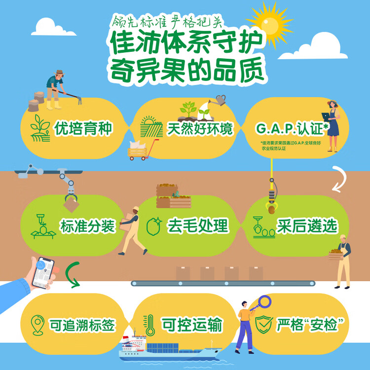 佳沛（zespri）新西兰 阳光金奇异果12粒特大果单果124-146g 猕猴桃水果礼盒 菜管家商品