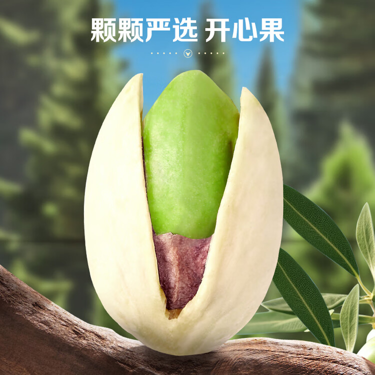 百草味盐焗味开心果500g 每日坚果炒货干果休闲零食量贩无漂白送礼团购 菜管家商品