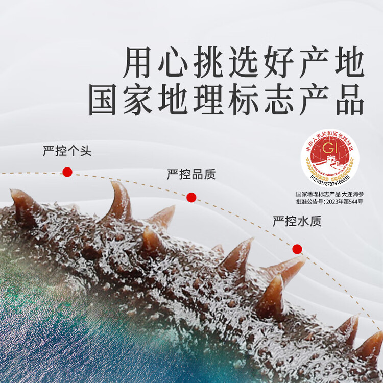 同仁堂北京同仁堂大连速发海参辽参145g35-43只高档年货海参礼盒送领导 菜管家商品