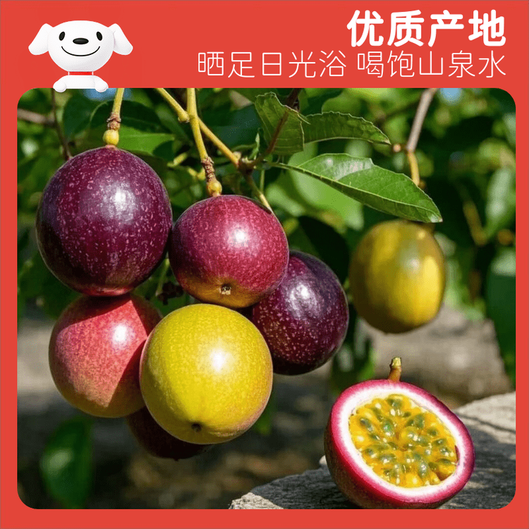 京鲜生 广西紫皮百香果 3斤装 约18-21粒 单果约70g 酸甜风味 新鲜水果 菜管家商品