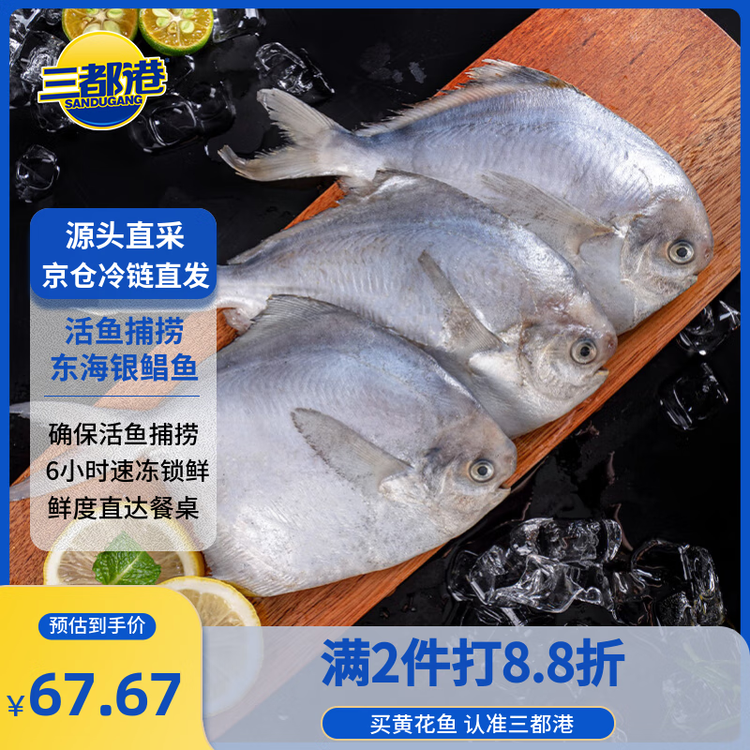 三都港 冷冻东海银鲳鱼450g/3条装 平鱼 深海鱼 生鲜鱼类 海鲜 年货 菜管家商品