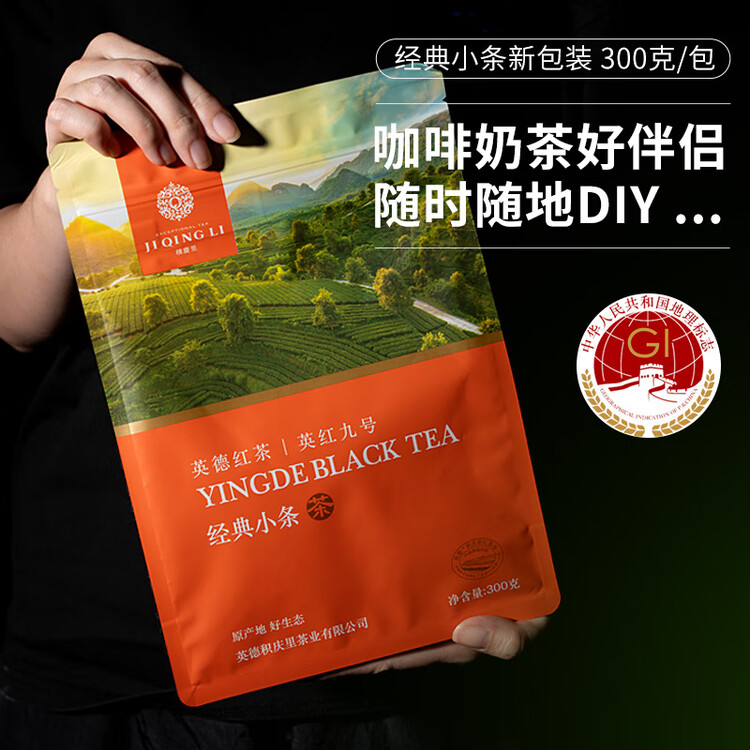 积庆里英红九号原产地大份量自饮口粮茶袋装英德红茶经典小条300g 菜管家商品