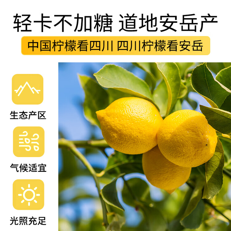 贡苑花草茶 纯柠檬片102g/袋 无添加糖柠檬干DIY泡茶泡水喝的Vc花茶 菜管家商品