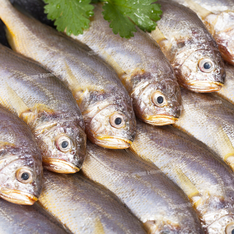 海名威 冷冻东海小黄鱼500g 16-20条 海鱼 生鲜鱼类 海鲜水产 烧烤 光明服务菜管家商品 